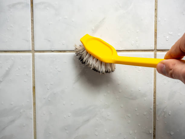 Best Mold Remediation  in Bokeelia, FL