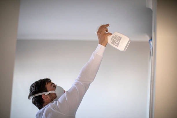 Best Mold Removal Process  in Bokeelia, FL